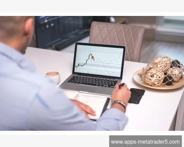 解决MetaTrader 5在虚拟机环境中USB密钥无法识别